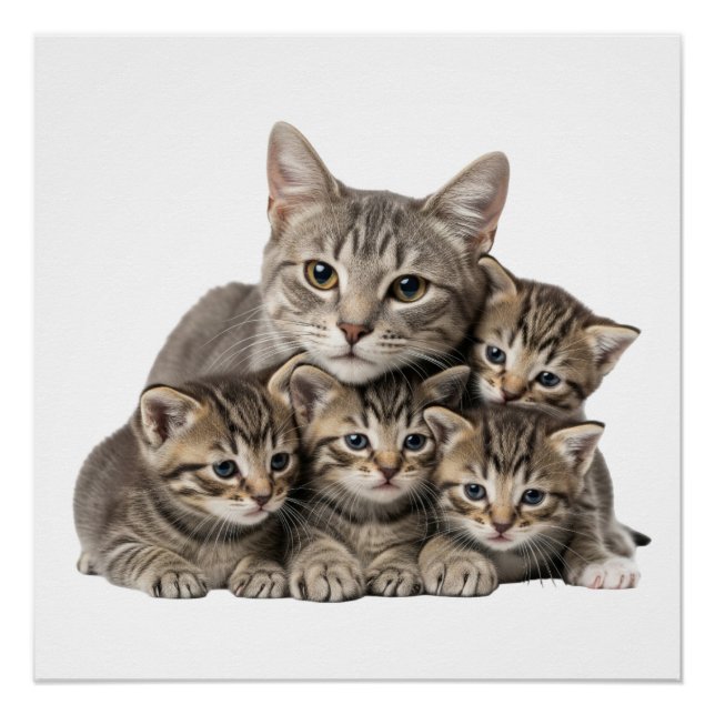 Pôster "Adorable Cat Family Cuddle" (Frente)
