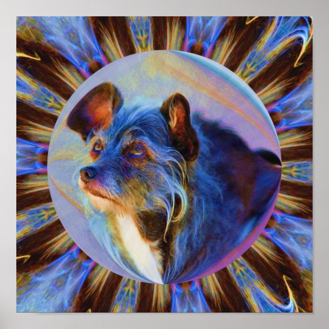Poster Adorando Olhos-Cachorros Abstrato Arte Animal (Frente)