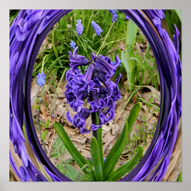 Poster Adorando Primavera.... (Frente)