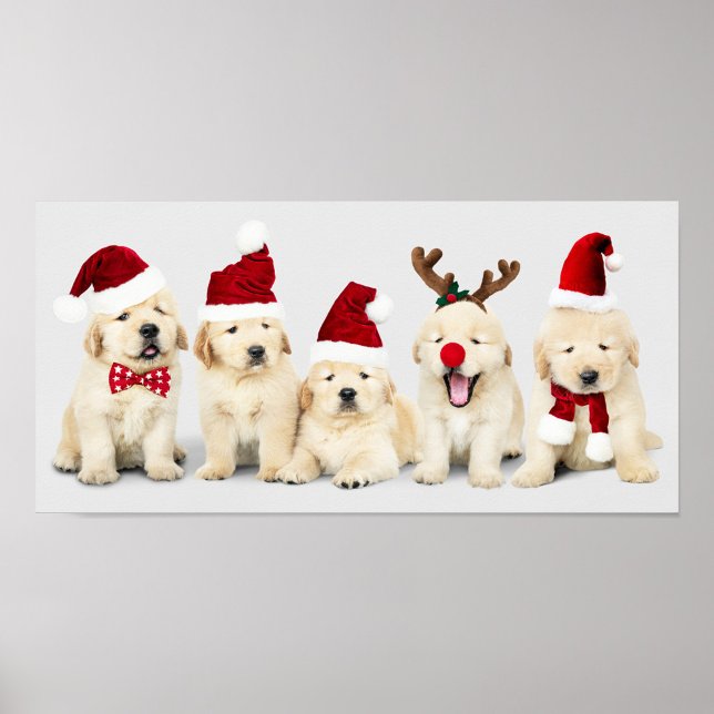 Poster Adoráveis (Festive dogs' ready for the Christmas Holiday!)