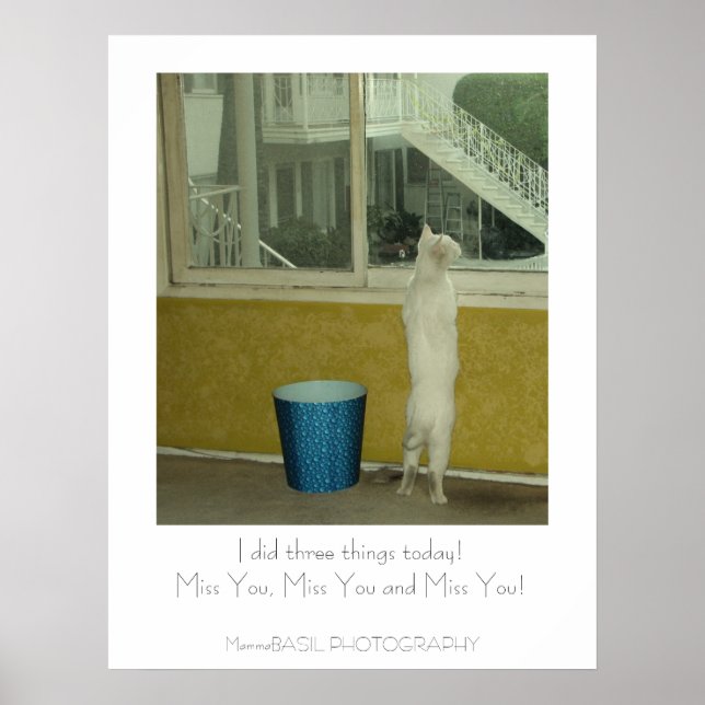 Pôster Adorável Cartaz de Saudades! (Frente)