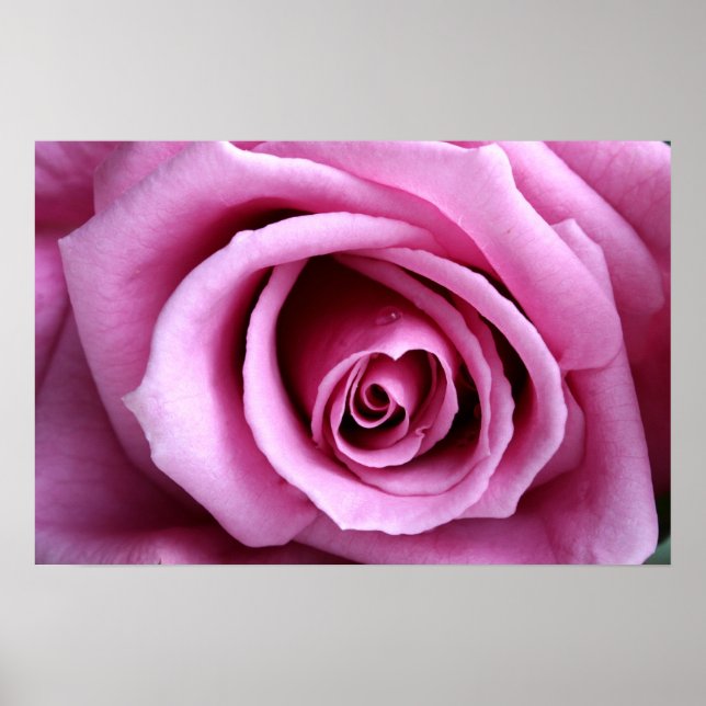 Pôster Adorável em lilás (Frente)