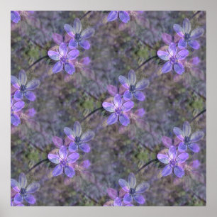 Poster Adorável em Primavera.