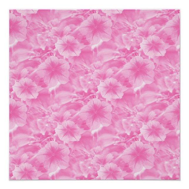 Pôster Adorável em rosa. (Frente)