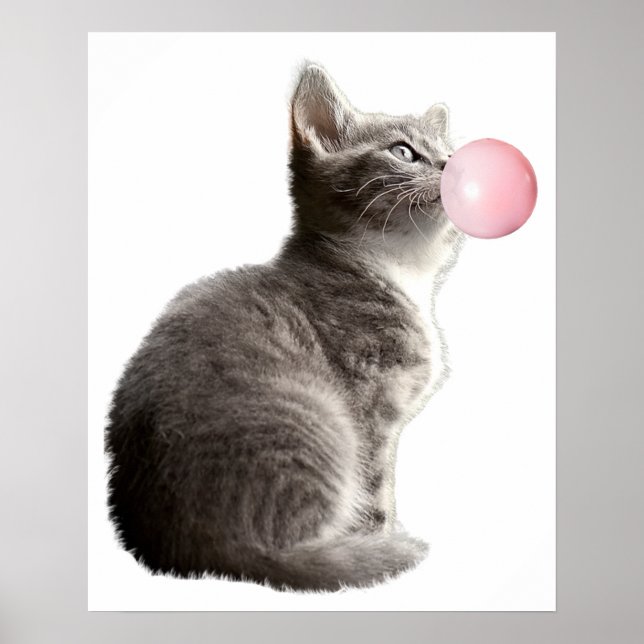 Poster Adorável Gatinho Cinza Bolha de Chiclete Infantil  (Frente)