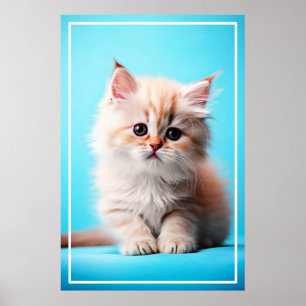 Poster Adorável White Kitten Potrait- 54971