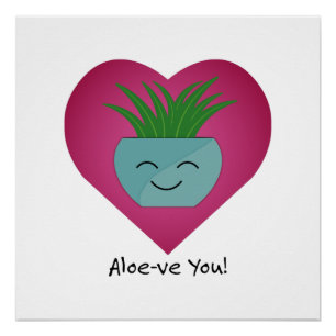 Pôster Adoravelmente Engraçado Ame Você Aloe