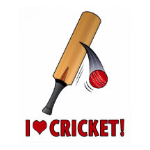Adoro Cricket Bat and Ball