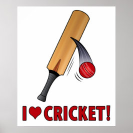 Poster Adoro Cricket Bat and Ball