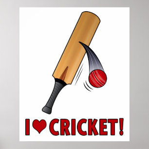 Poster Adoro Cricket Bat and Ball