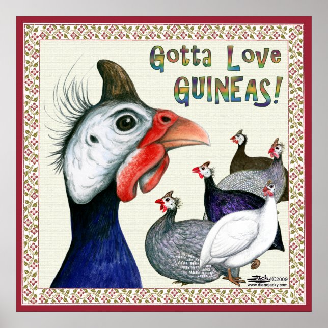 Pôster Adoro Guineas! (Frente)