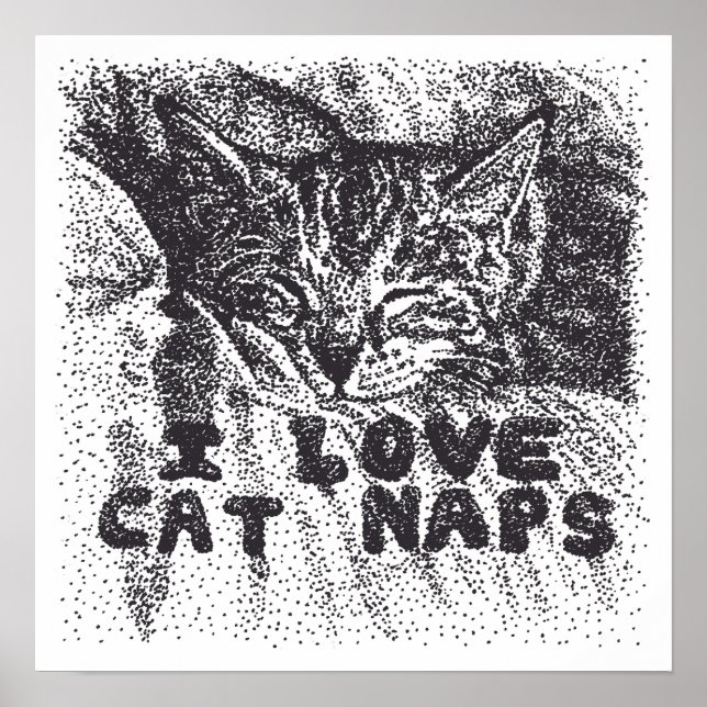 Poster Adoro Naps de Gato, gato dormindo (Frente)
