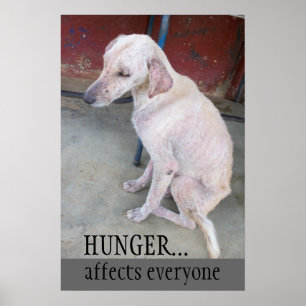 Poster Adotar Compro Não