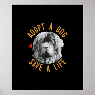 Poster Adotar Um Cachorro Salvar Um Salvamento De Vida Na