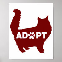 Adotar Um Gato para Pentes De Gato E Proprietários