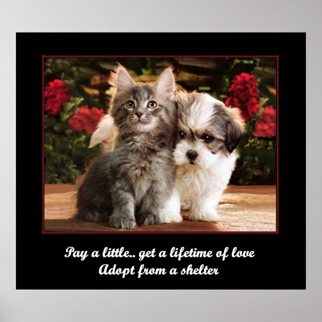 Poster Adotar Um Pet (Frente)