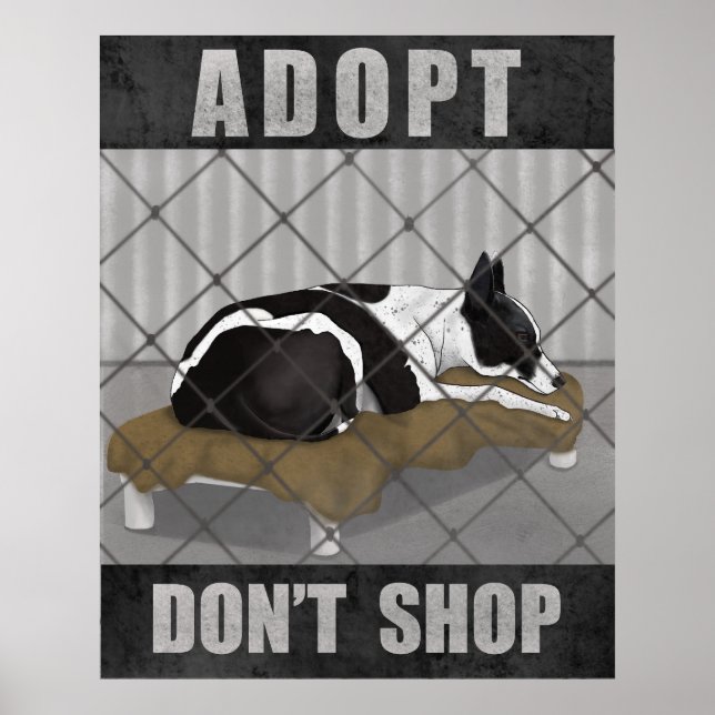 Poster Adote Não Compre (Frente)