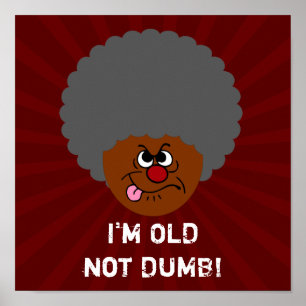 Poster Adulto idoso eu sou idoso NAO ESTÚPIDO IDOSO