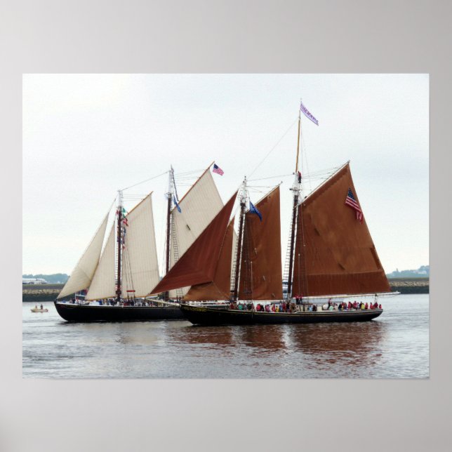 Poster Adventure and Roseway (Frente)