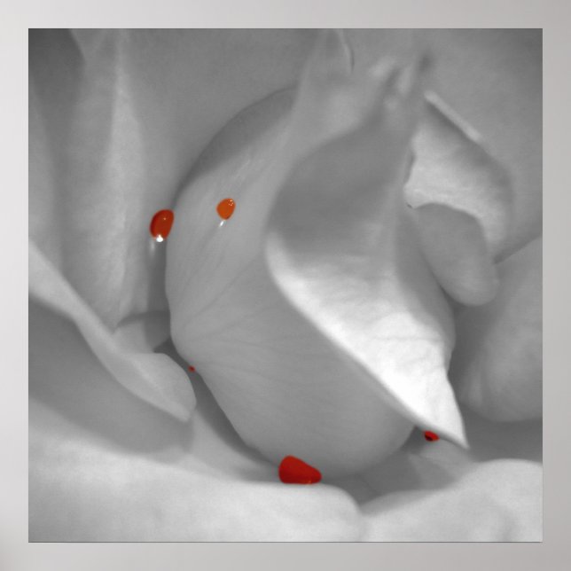 Poster Aeolian Watercolor Print (Frente)