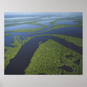 Pôster Aerial of Anavilhanas Archipelago, Flooded