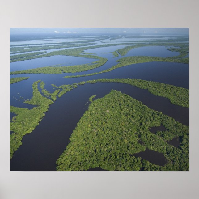 Pôster Aerial of Anavilhanas Archipelago, Flooded (Frente)