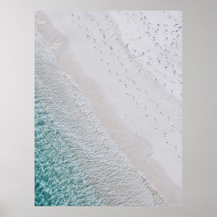 POSTER AERIAL PHOTOGRAPHY OF WHITE SAND SEASHORE AND GREE