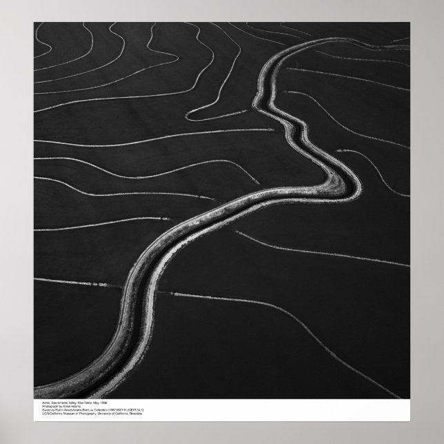 Pôster Aerial, Vale do Sacramento, campos de arroz maio d (Frente)