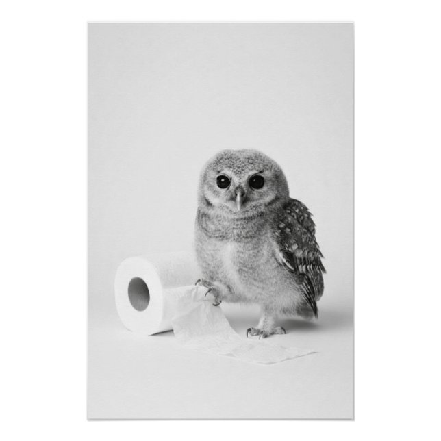 Pôster Aesthetic Minimalist Baby Owl Holding Toilet Paper (Frente)