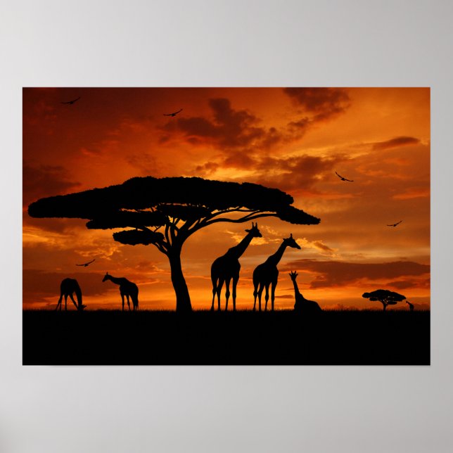 Poster Afafricano Safari ao pôr do sol (Frente)