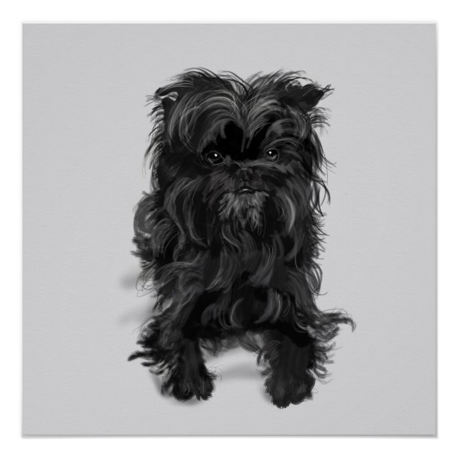 Pôster Affenpinscher (Frente)