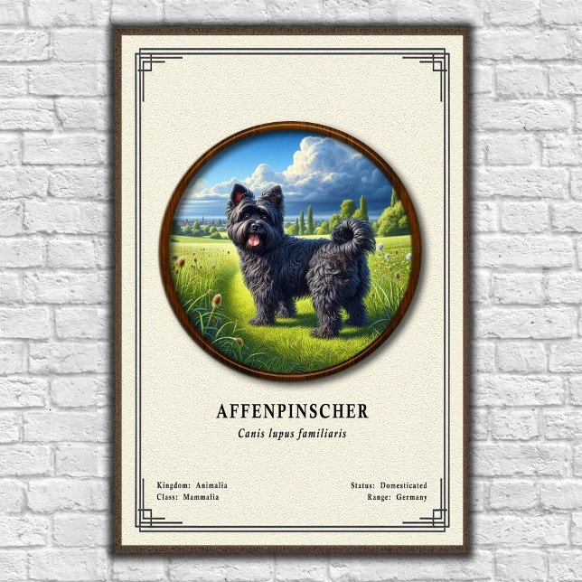 Poster Affenpinscher Zoology Series (Criador carregado)