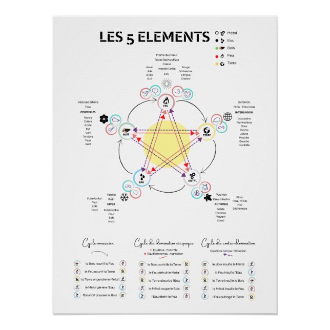 Pôster Affiche 5 éléments Médecine Chinoise (Frente)