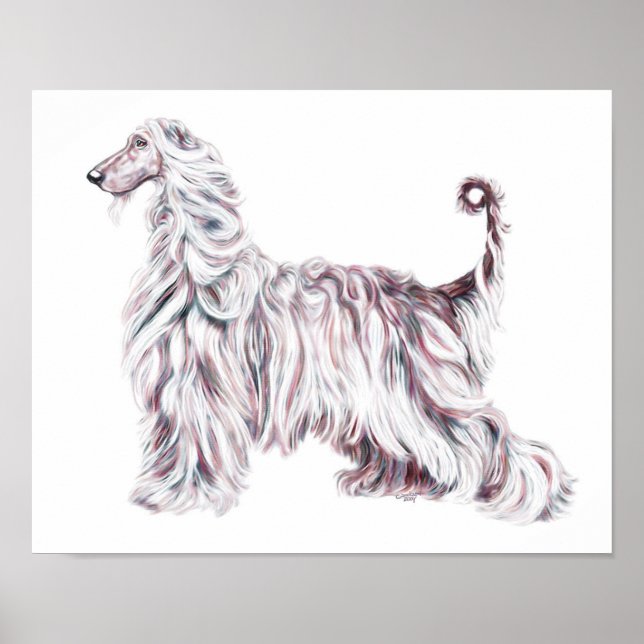 Pôster Afghan Hound Elegance (Frente)