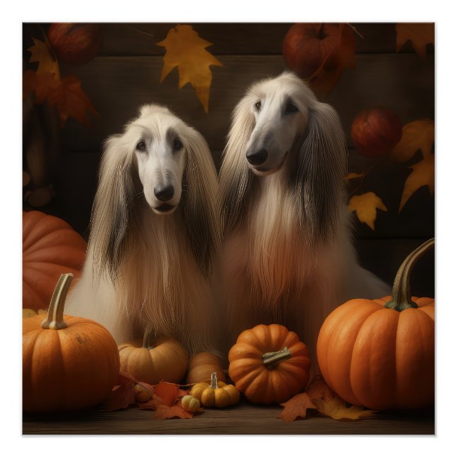 Pôster afghan hound Puppy Autumn Delight Pumpkin (Frente)