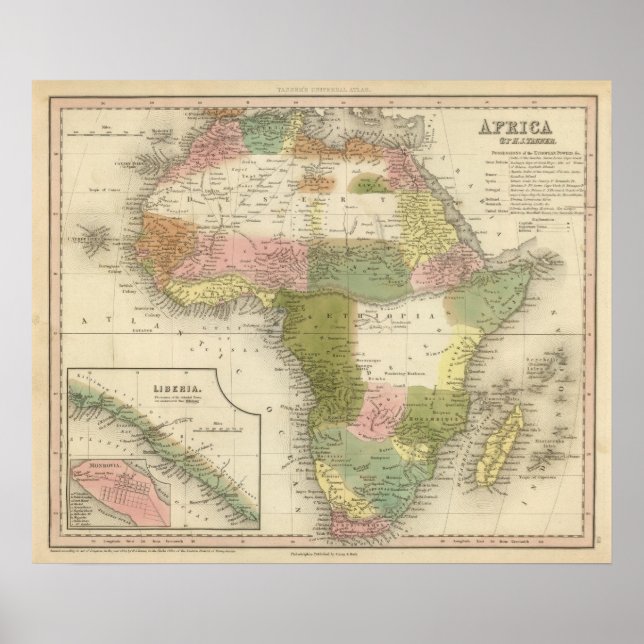 Pôster África 13 (Frente)