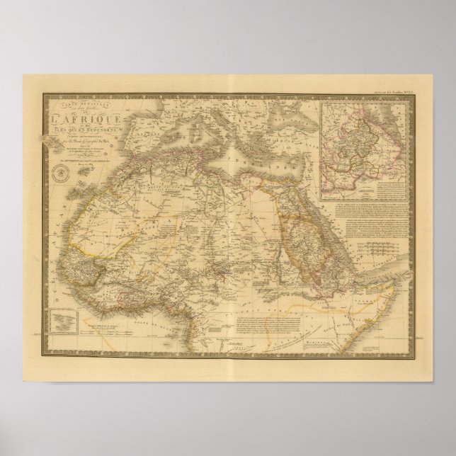 Pôster África 20 (Frente)