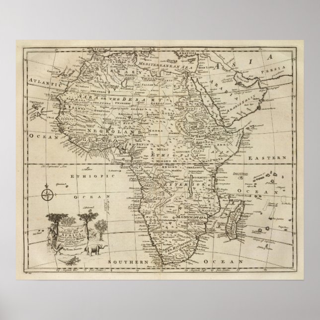 Poster Africa 5 (Frente)