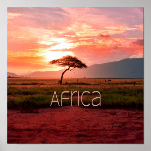 Poster África — África — África