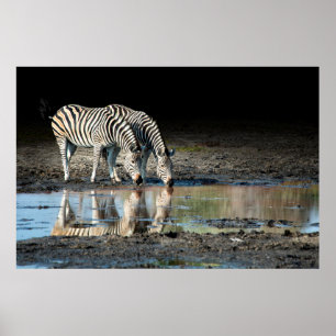 Poster África, Botsuana, Delta do Okavango, Davison Camp