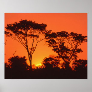 Pôster África do Sul. O pôr do sol africano.