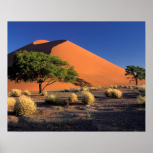 Pôster África, Namíbia, Parque Namibe-Naukluft, Sossosvle