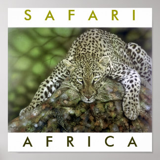 Poster África Safari