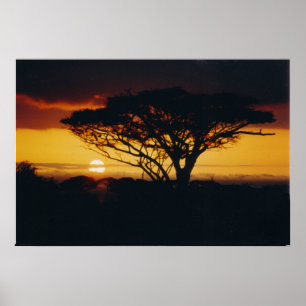 Pôster africa sunset
