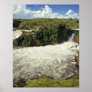 Pôster África, Uganda, Parque Nacional Murchison Falls. A