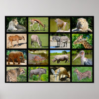 African animals mosaic