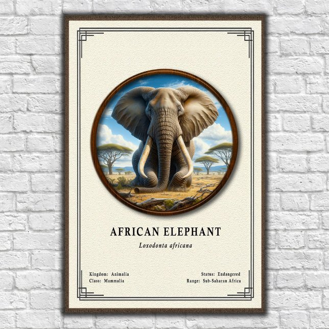 Poster African Elephant Zoology Series (Criador carregado)