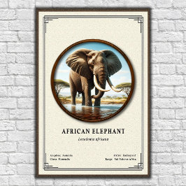 Poster African Elephant Zoology Series