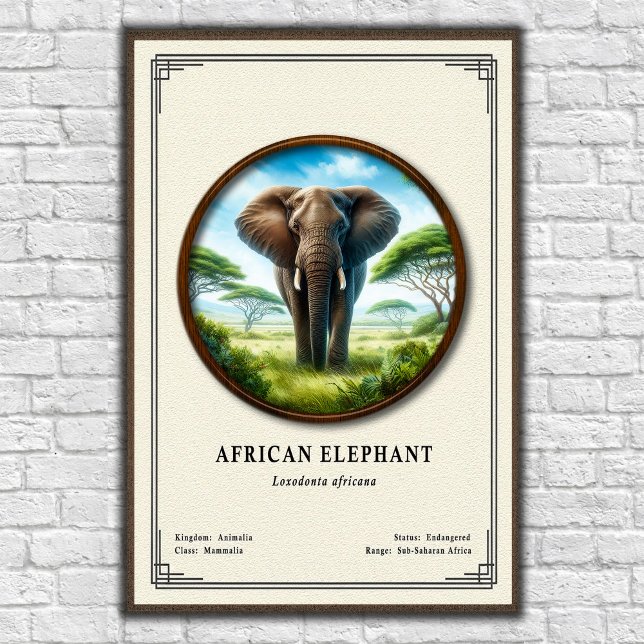 Poster African Elephant Zoology Series (Criador carregado)