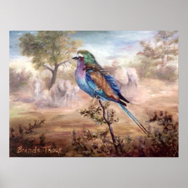 Poster African Roller (Frente)